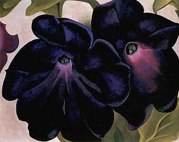 Georgia O Keeffe : Black and Purple Petunias